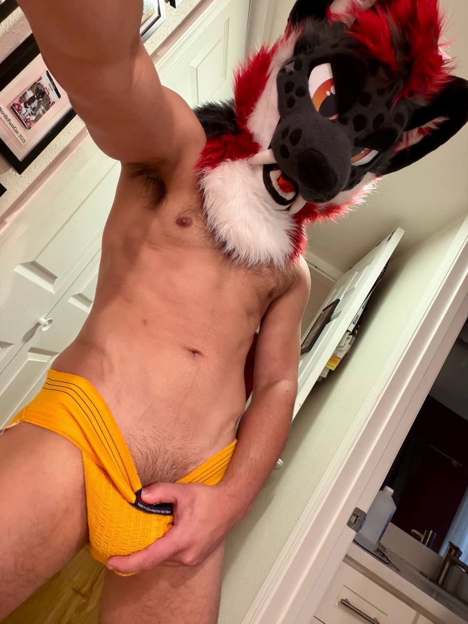 Front view of Classic Style Yellow Jock