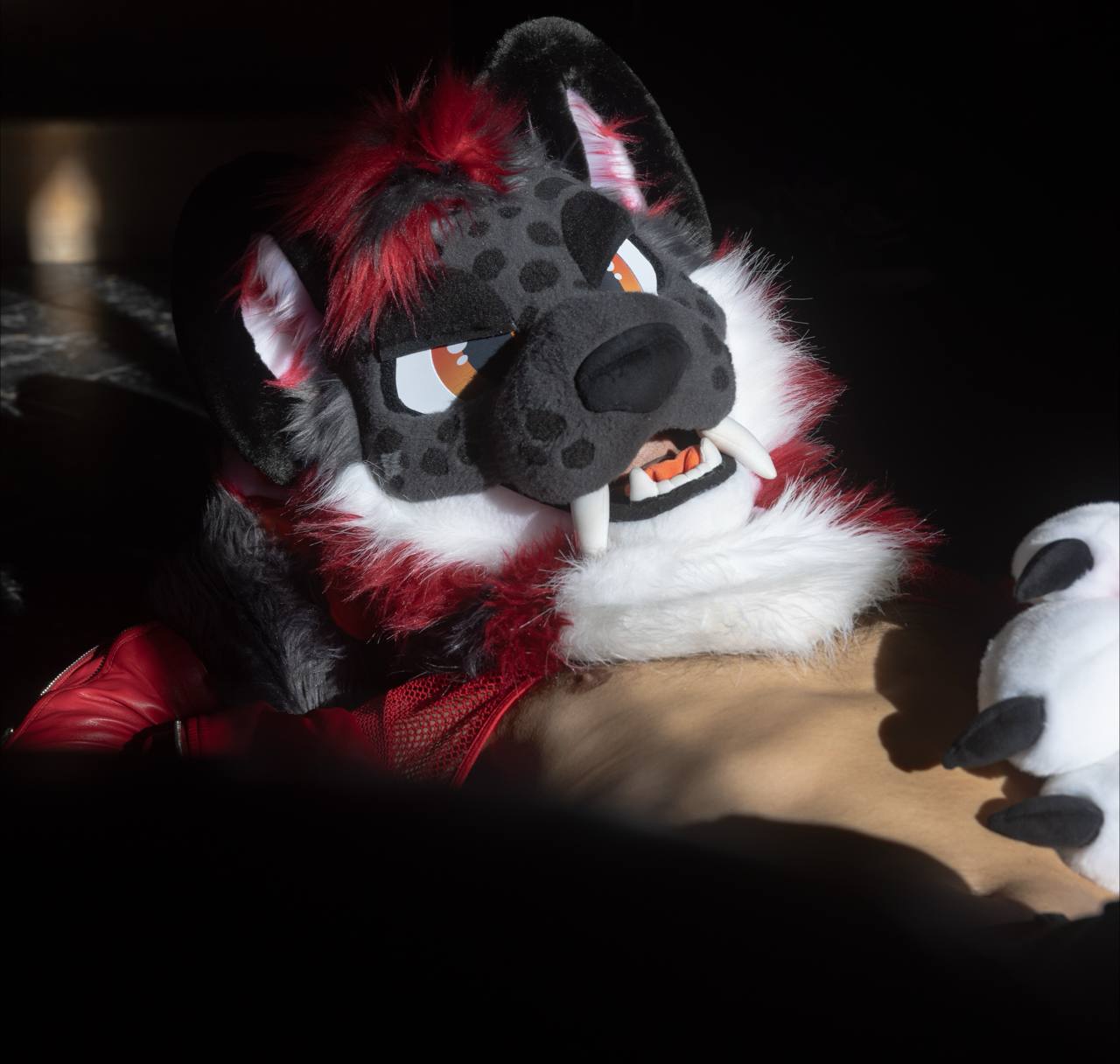 Scorch reclining in sunlight